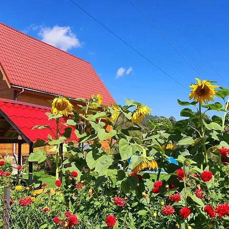 Felice Riposo אכסניה