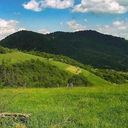 Felice Riposo * Kozevo