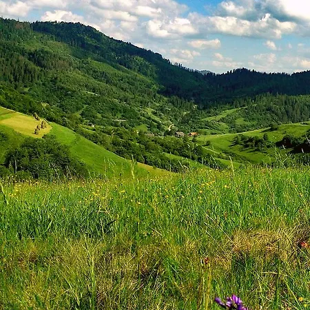 אכסניה Felice Riposo *