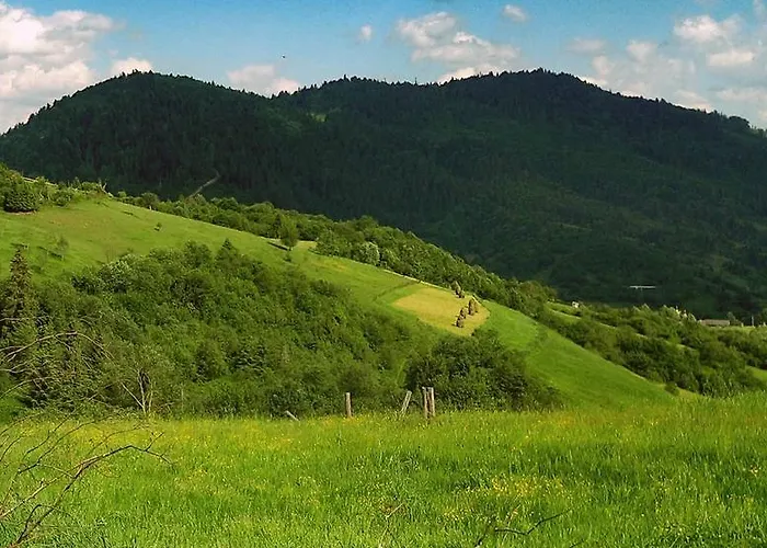 Felice Riposo * Kozevo